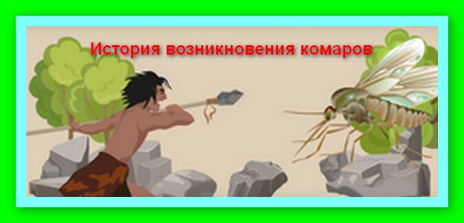 История возникновения комаров