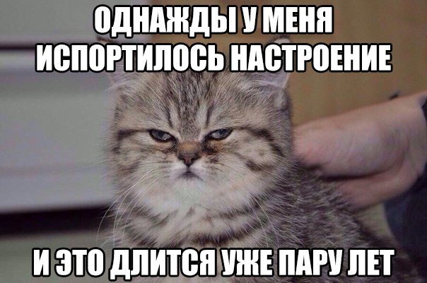 Я...когда у меня непонятки...