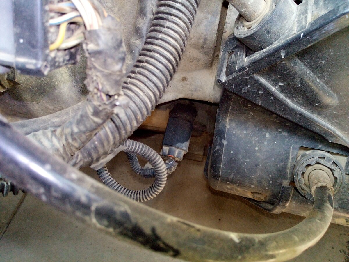 Датчик заднего хода, или просто лягушка, вид сверху.