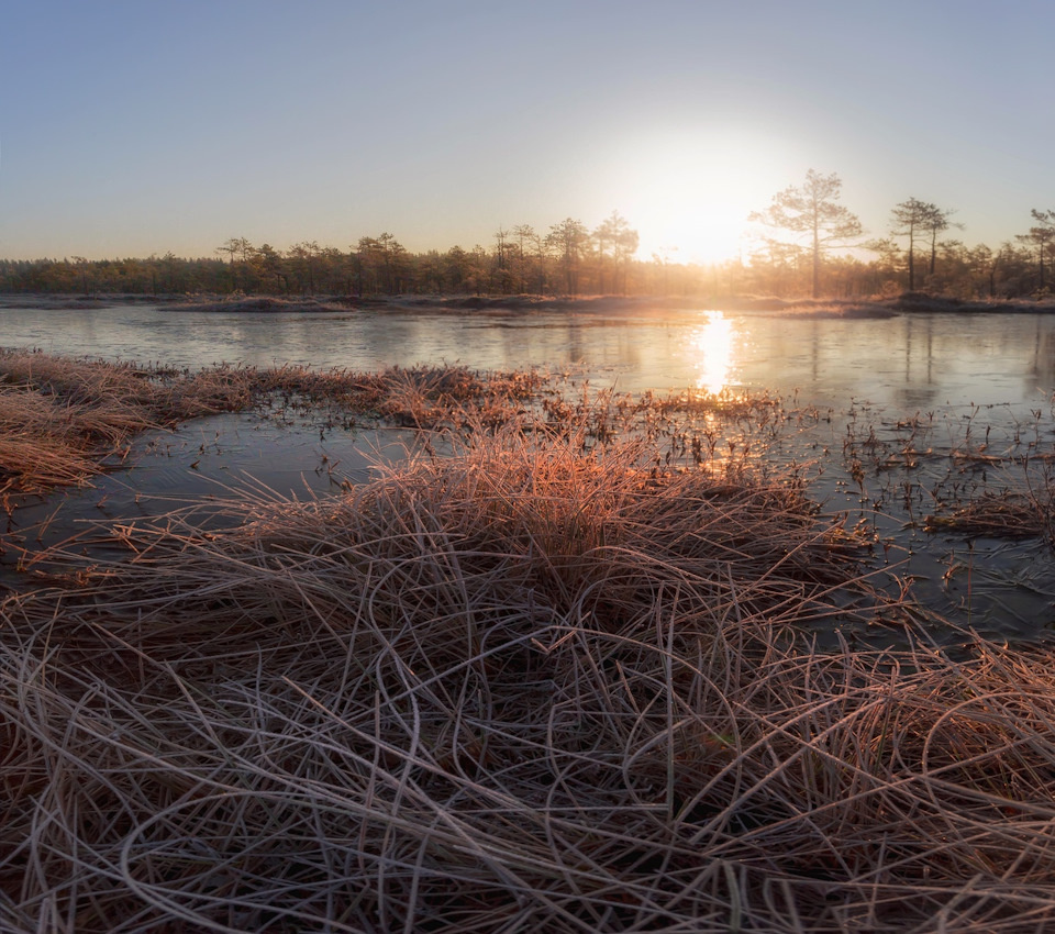 2. Апрель. Пригревает