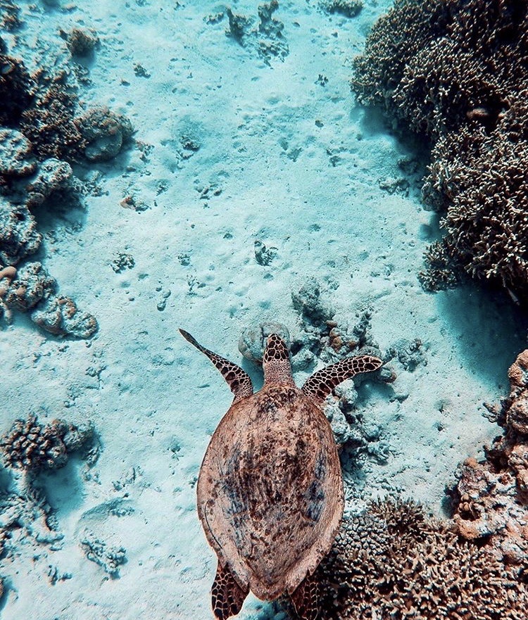 Instagram.com/lugostravel