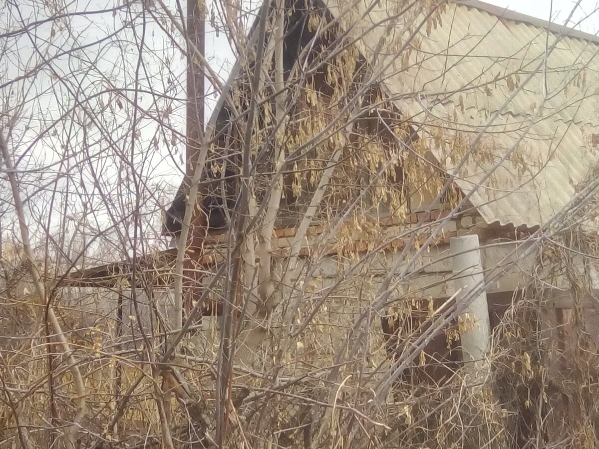 Это уже сделанная из полуразрушенного домика на этом участке баня с навесом ) Личное фото