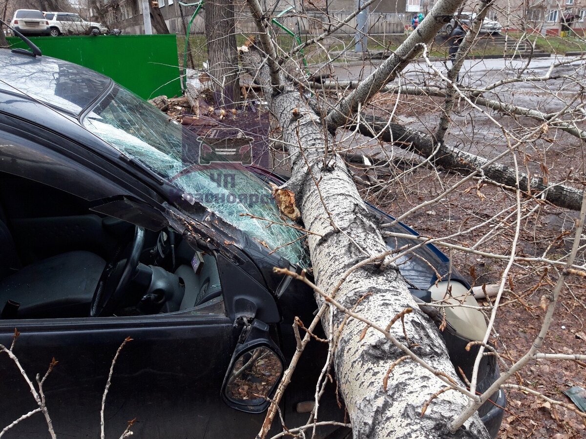 Фото: vk.com/kraschp 