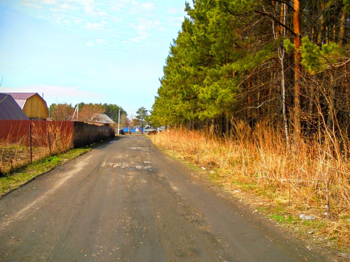 Ул. Кедровая, в самом начале поселка. Настоящее время (увы, старых фотографий того времени не сохранилось).
