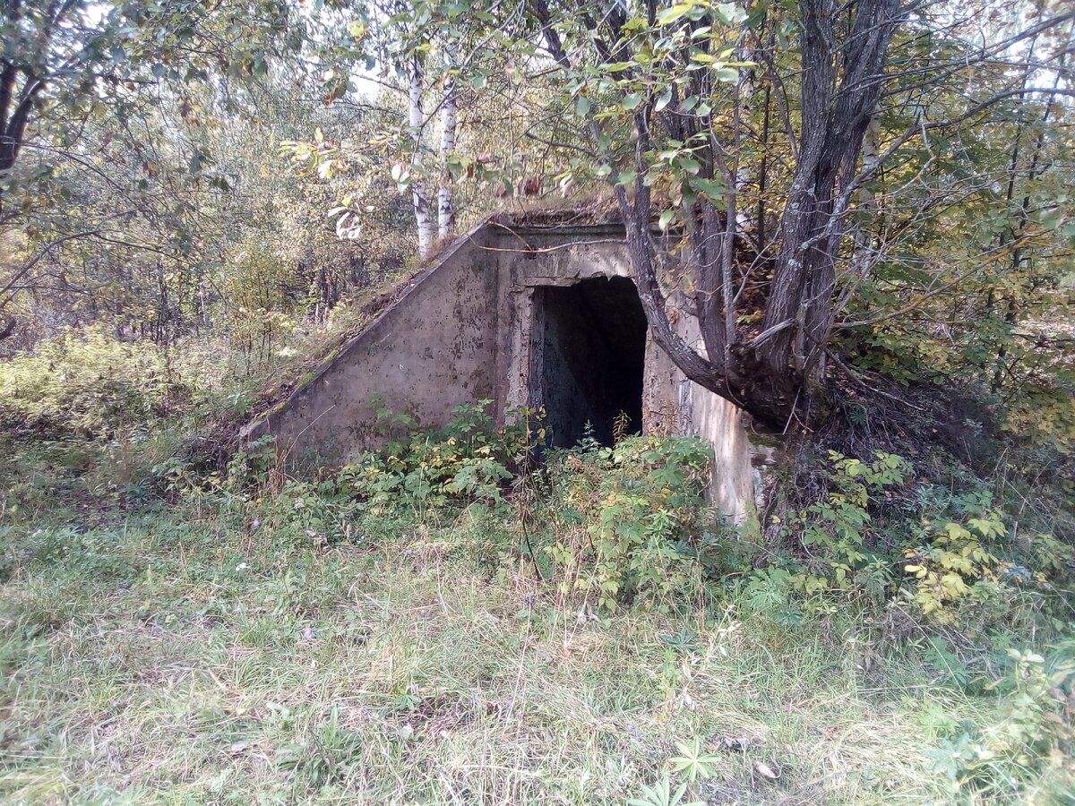 Заброшенный бункер в Подмосковье в лесу