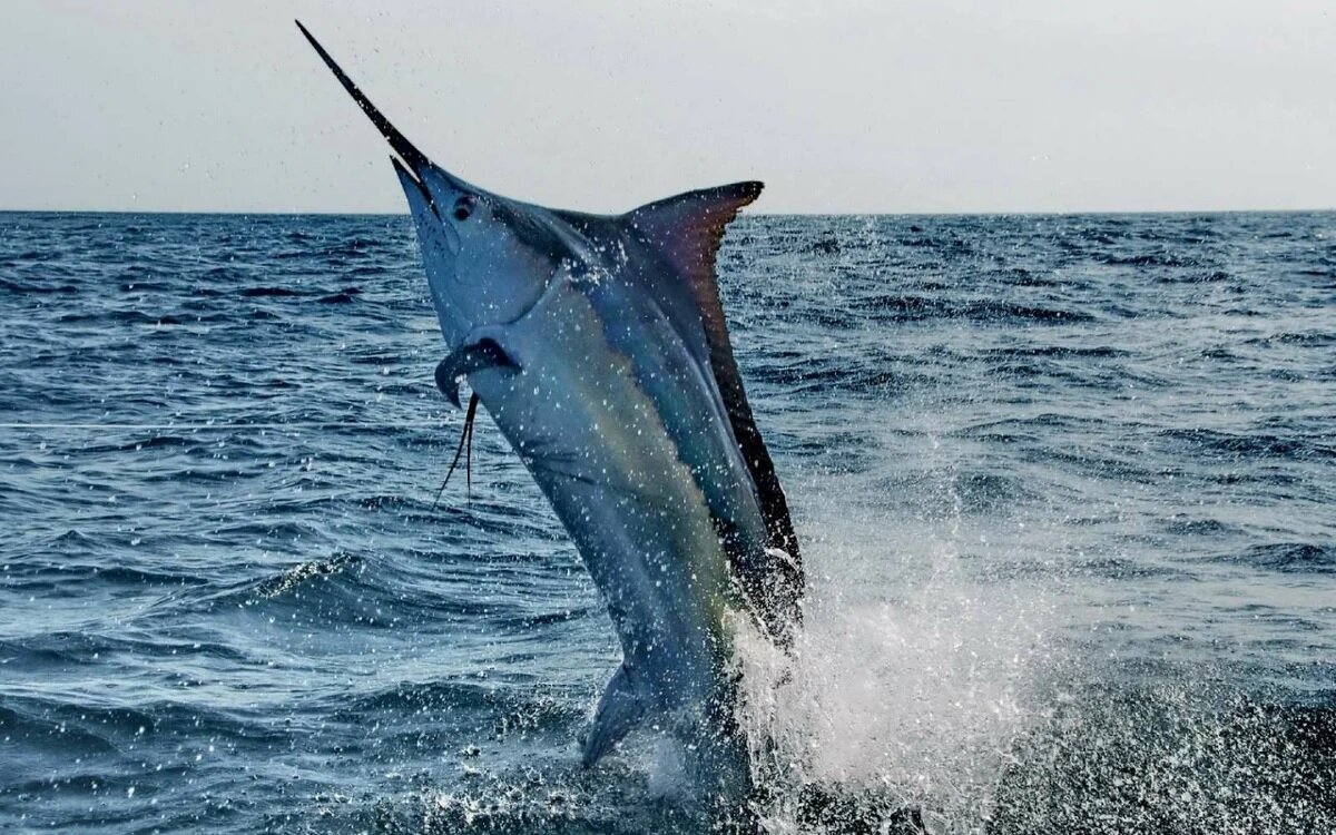 Источник: yandex.ru