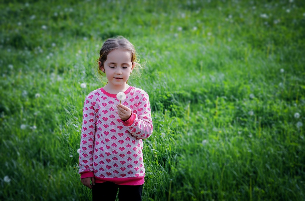 Фото из открытого источника