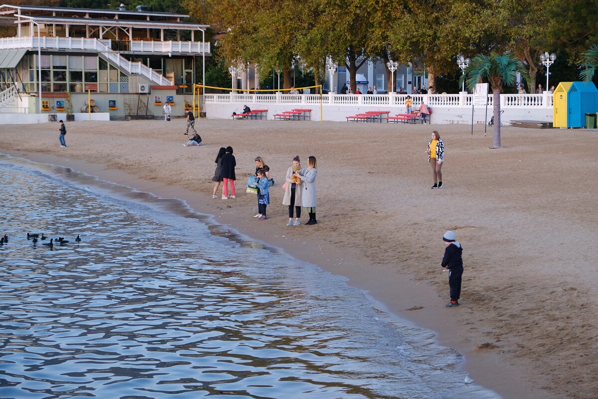 Почему на центральном пляже Геленджика запрещено купаться. Причину нашёл по запаху