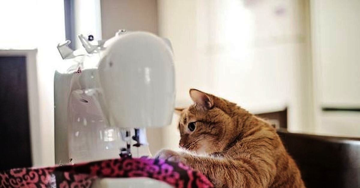 Взято с сайта pinterest.ru