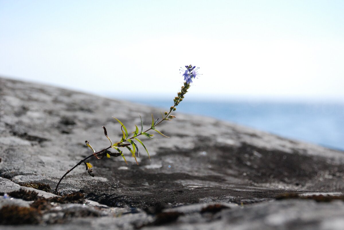 Изящное фото моего друга
