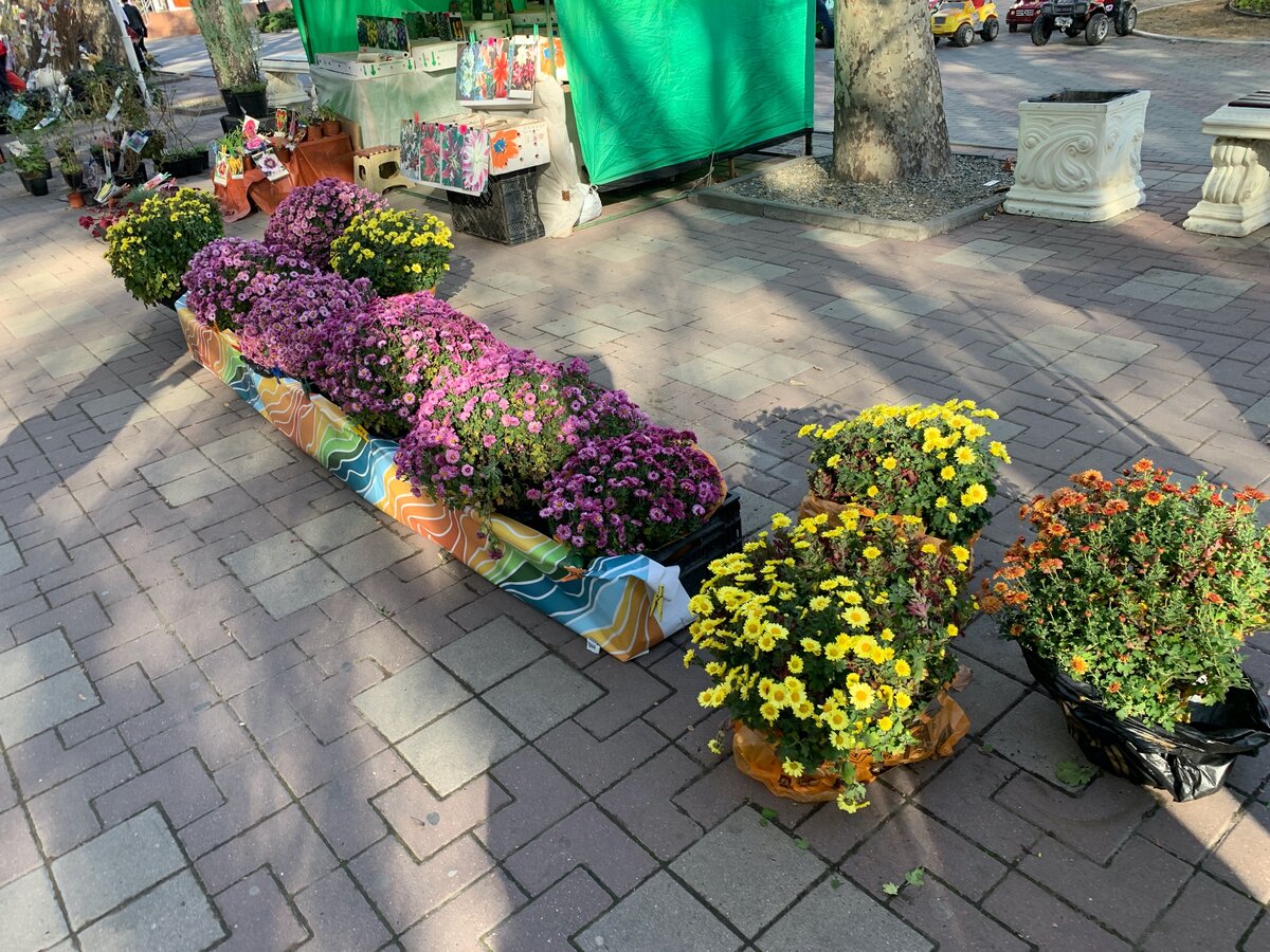 Что продают на фермерской ярмарке в Геленджике. Сходил и посмотрел