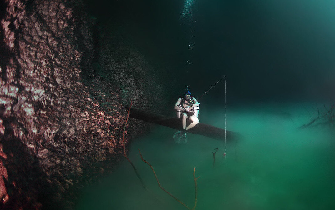 Фото из открытых источников yandex.ru