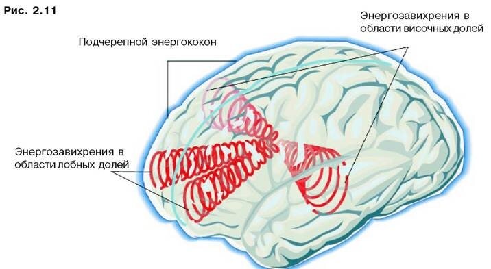 Подчерепная впадина. Темпоральная реальность. Темпоральная реальность TEMPORALREALITY. Темпоральная согласованность картинка.