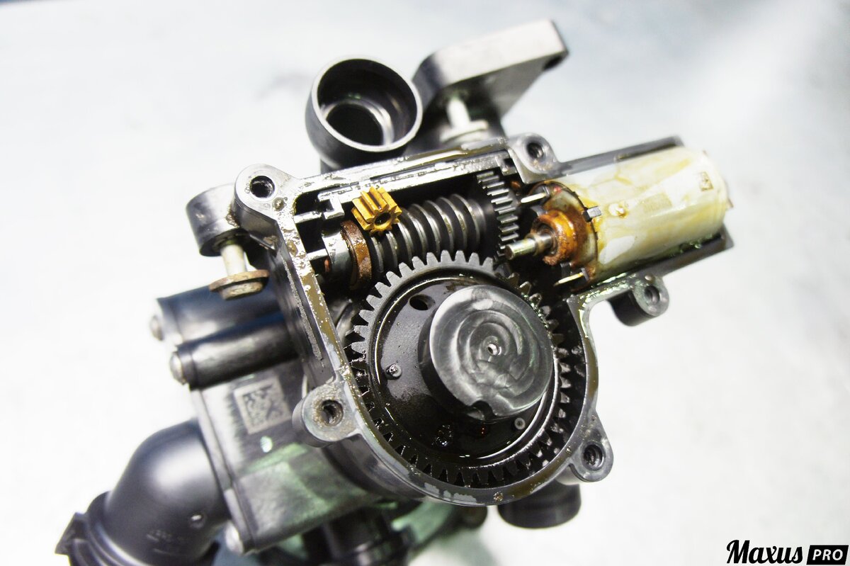 фото с нашего архива