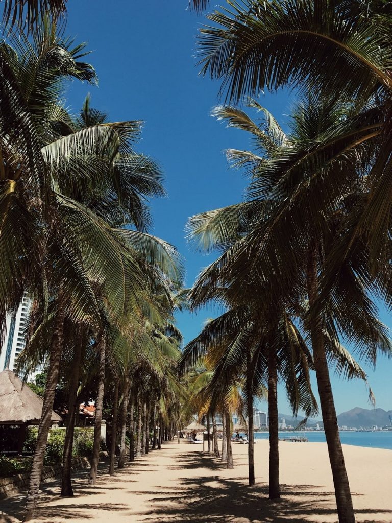 Моря, пляж и пальмы - вот за что многие любят это место