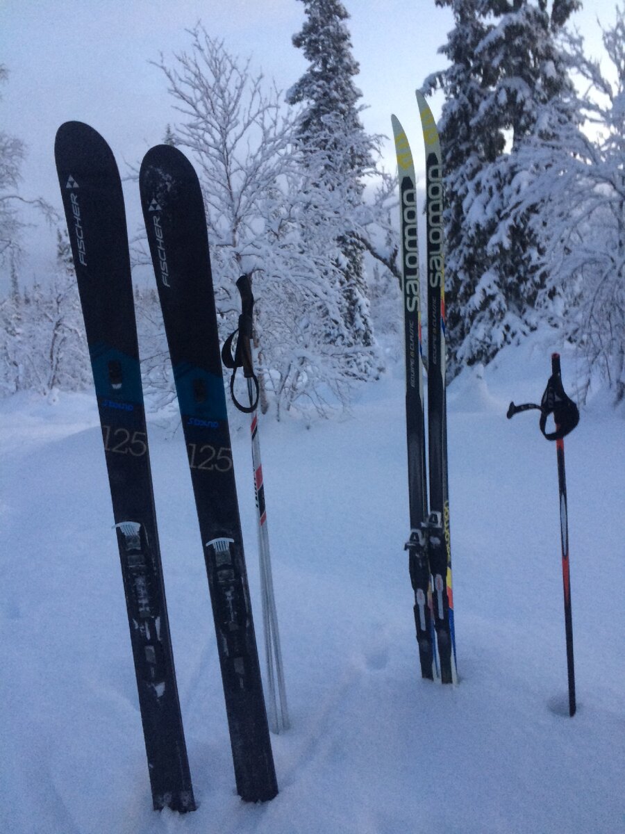 Привет лыжники! ⛷ После обильных снегопадов самое время выбраться в лес на лыжню, что мы и сделали с моим компаньоном Евгением.-2