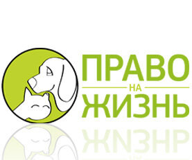 акция для приюта. животные из приюта. пункт передержки безнадзорных собак. карточка собаки в приюте. приют собачий приют в чебоксарах.