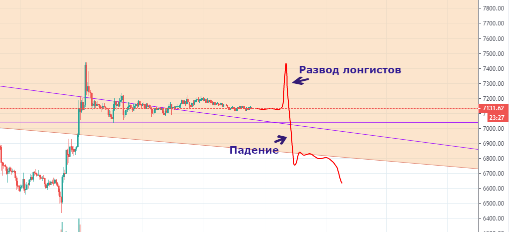 Развод лонгистов