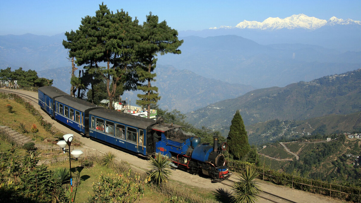 Дарджилинг - один из первых регионов Индии, где появился чай.