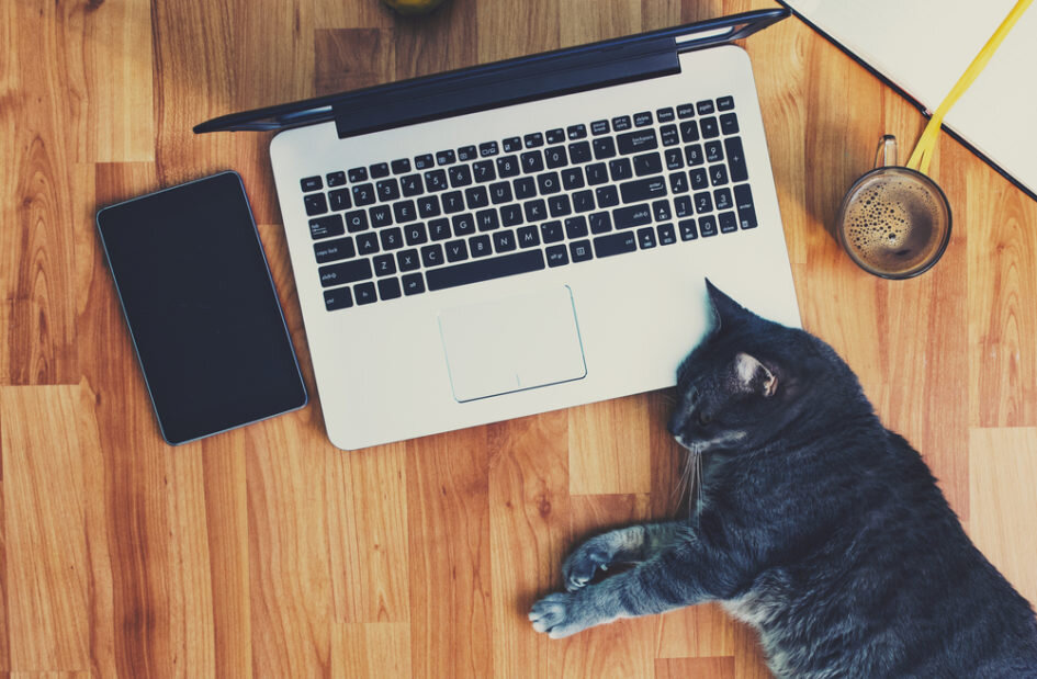 Источник: shutterstock