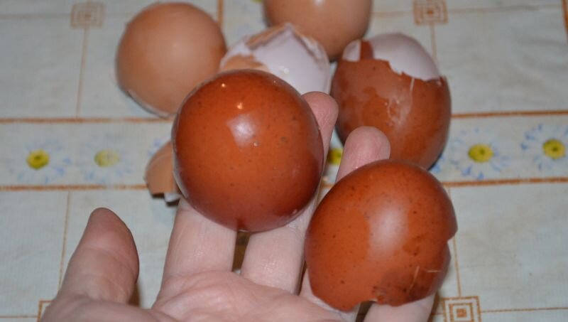 Яичная скорлупа у меня от Кученок и Маранов.