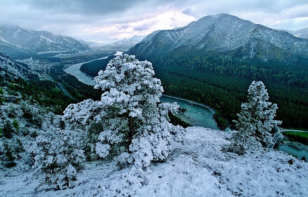 Горный алтай фото зимой