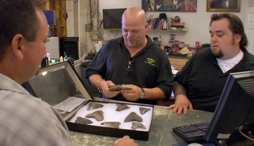 Мужик принёс ископаемые зубы древней акулы