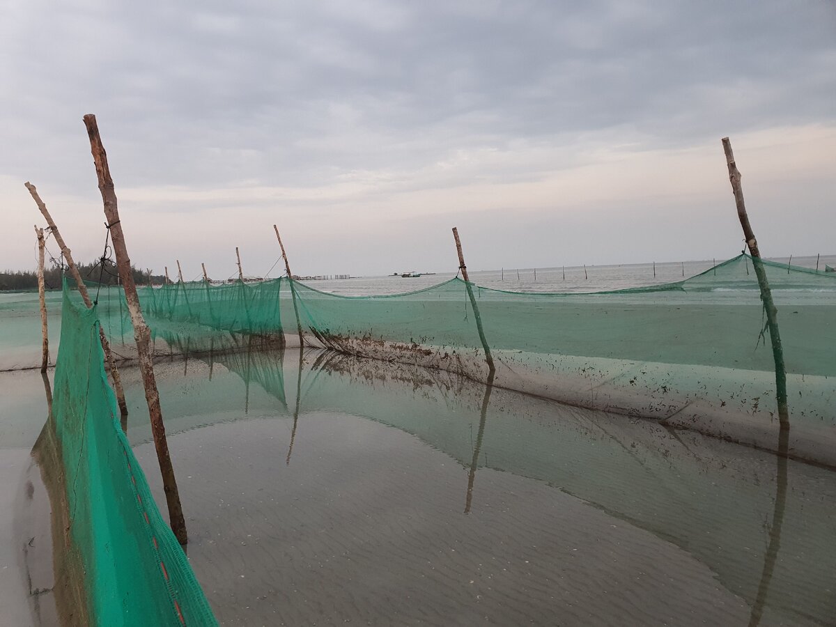 Сходила в домик в море к вьетнамским рыбакам и узнала кого они ловят странными вертикальными сетями