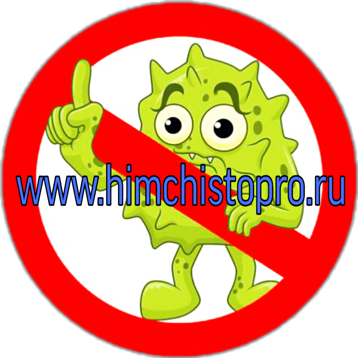 Выездная профессиональная химчистка