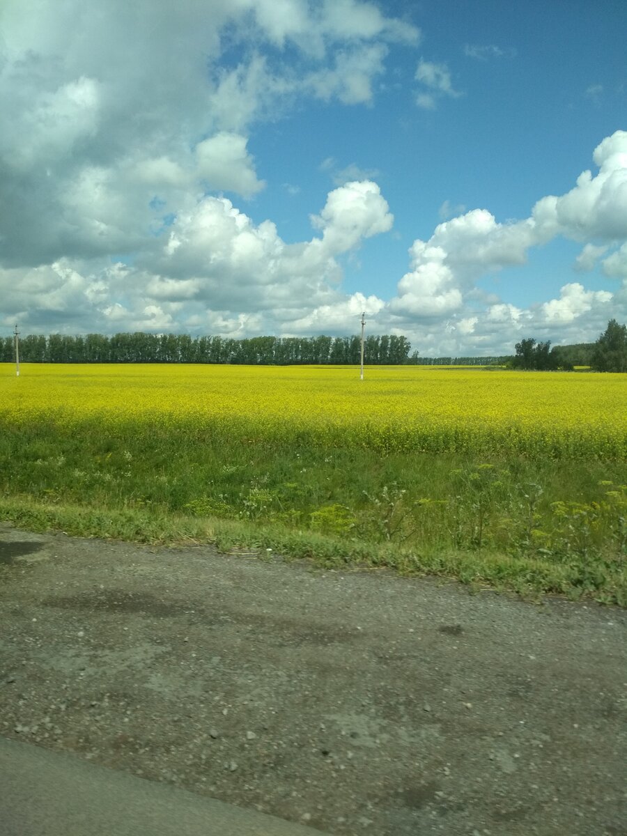 По дороге в город.