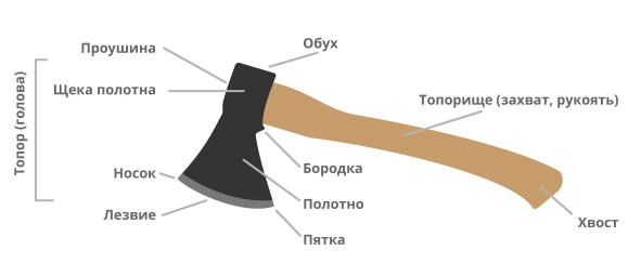 Онлайн просмотр документа 