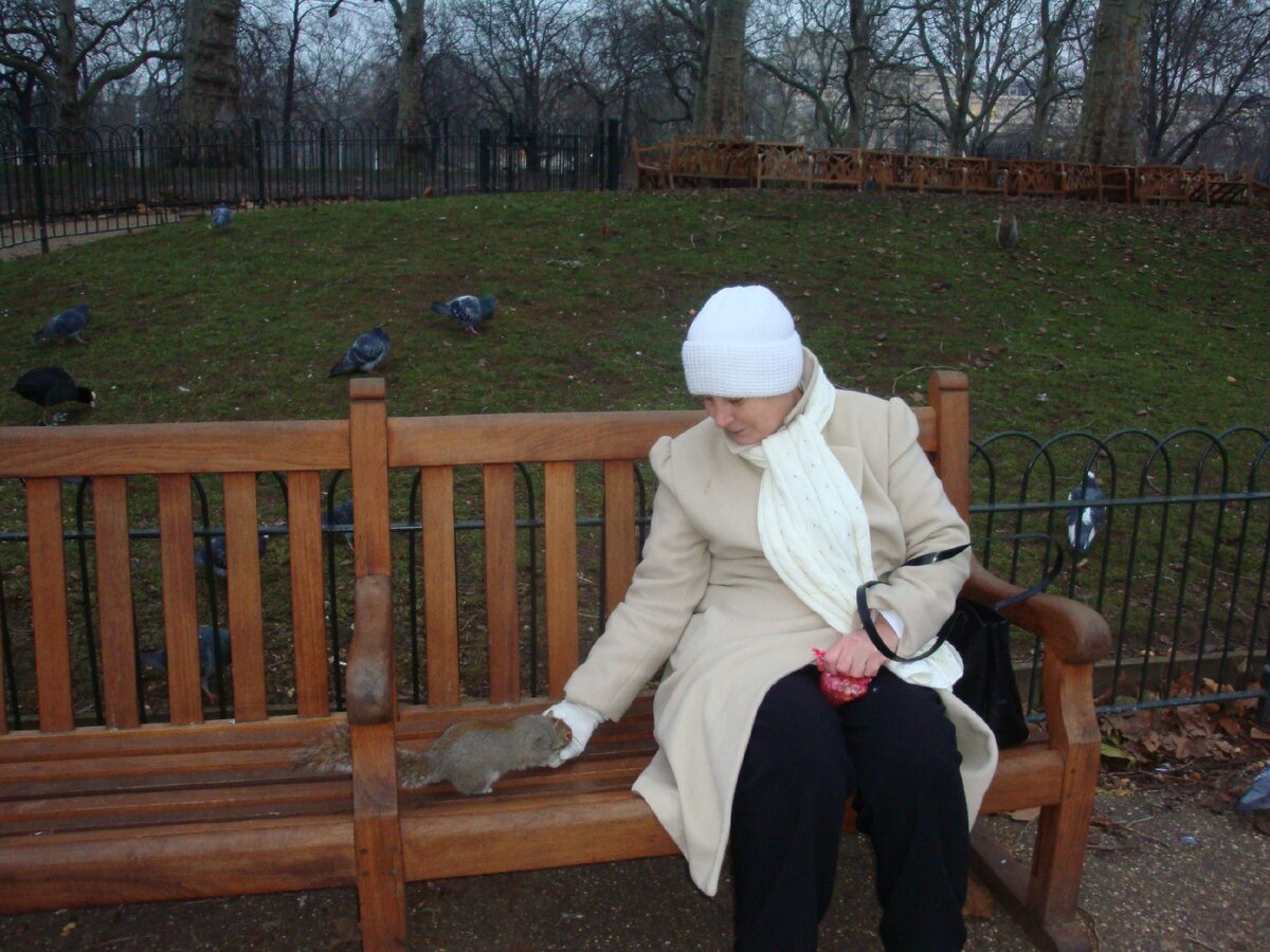 Мама кормит белку в Гайд-парке