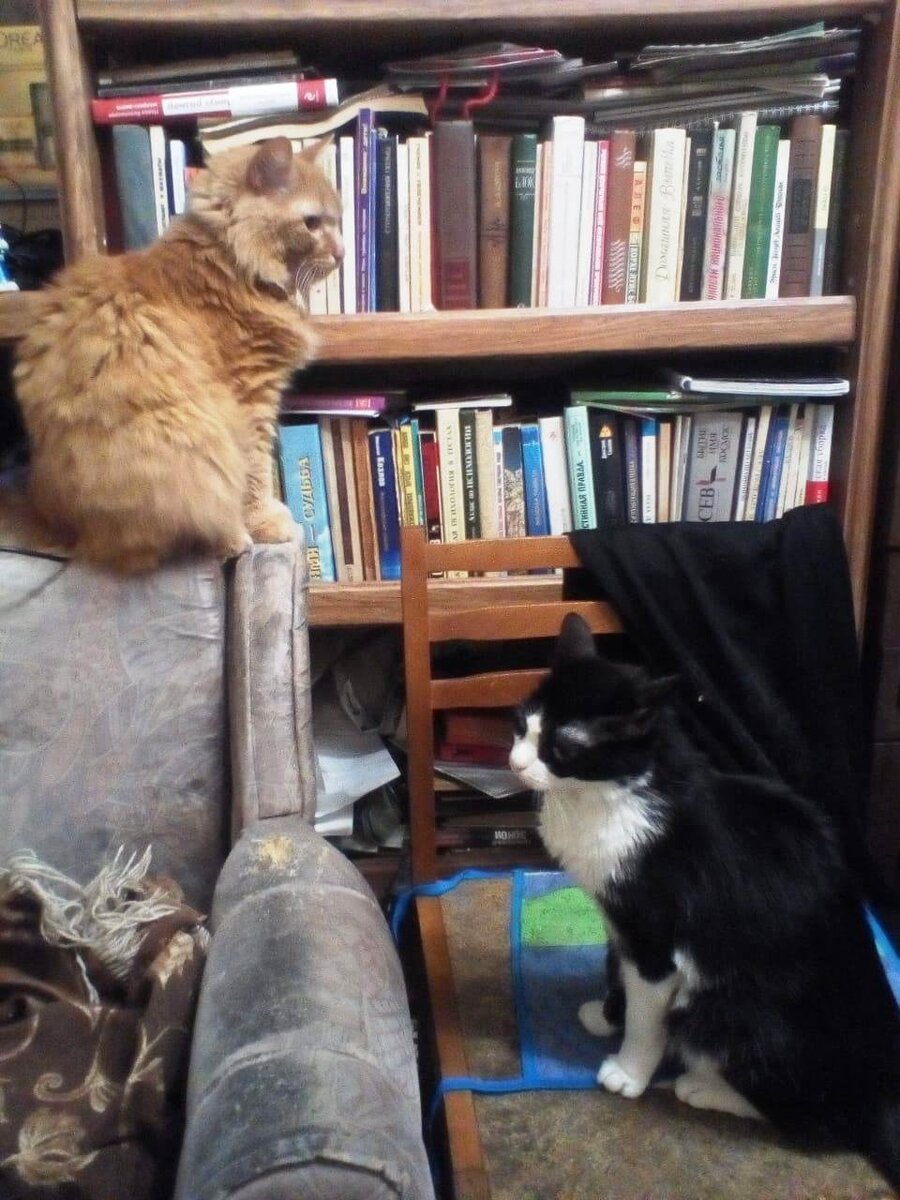 Сонечка и Лёвушка, еврейская сибирская семья)))