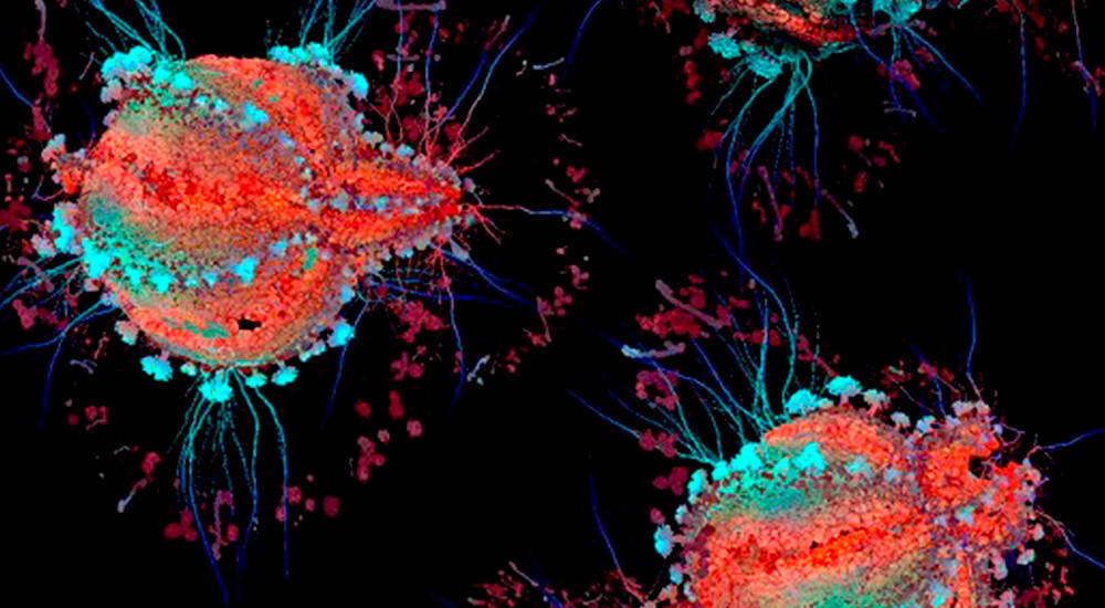 взято с taringa.net