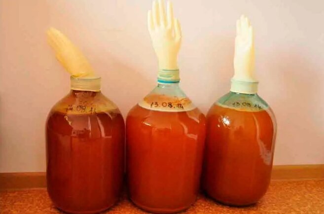 Фото взято из яндекс картинки