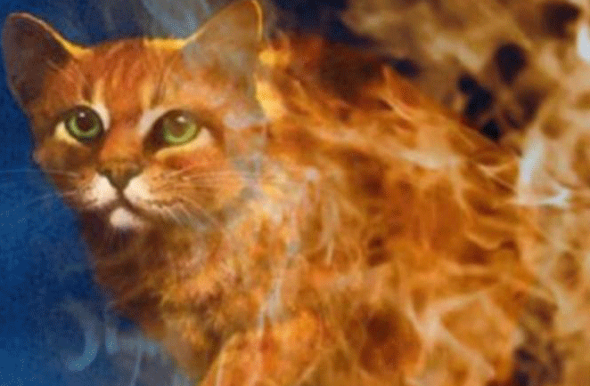 источник картинки : http://s41.radikal.ru/i093/0903/d3/2de5a1451769.gif