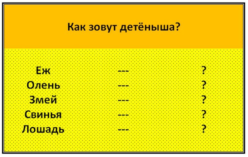 Авторское изображение