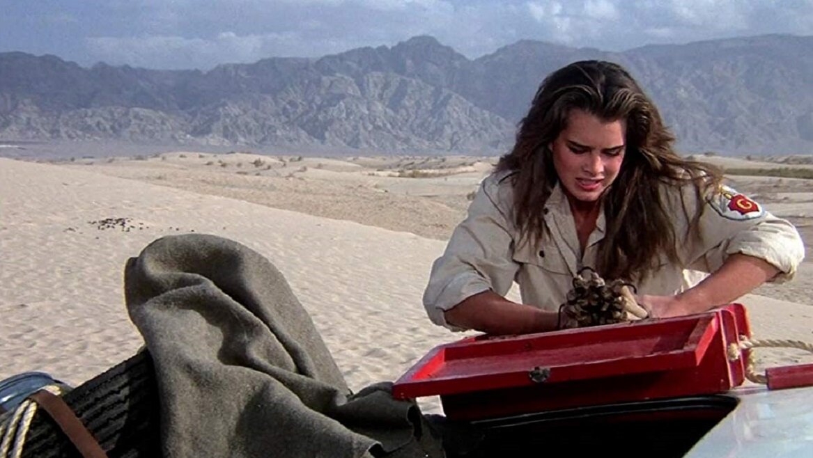 Сахара 1983 года. Сахара 1983 года. Сахара фильм 1983. Сахара фильм 1983. Сахара 1983 года.