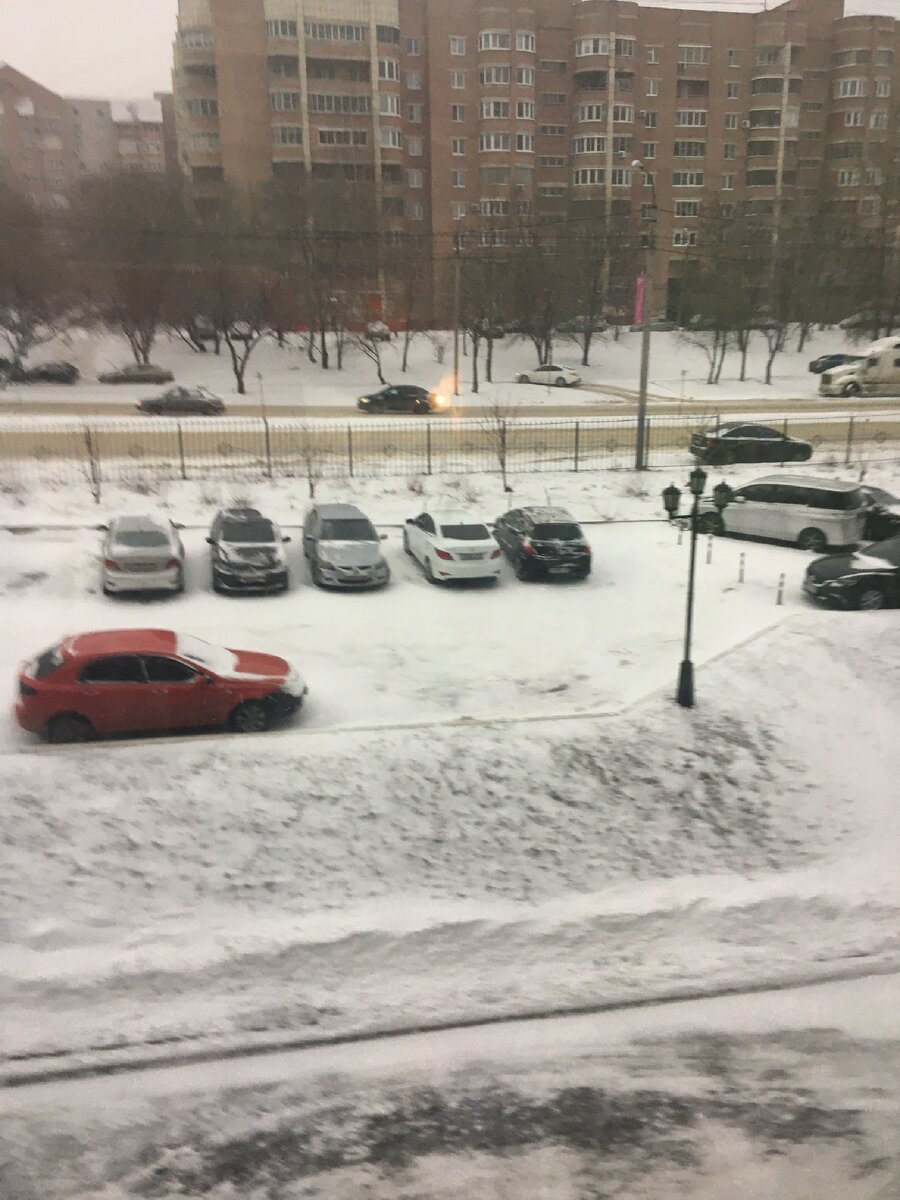 Фото автора.