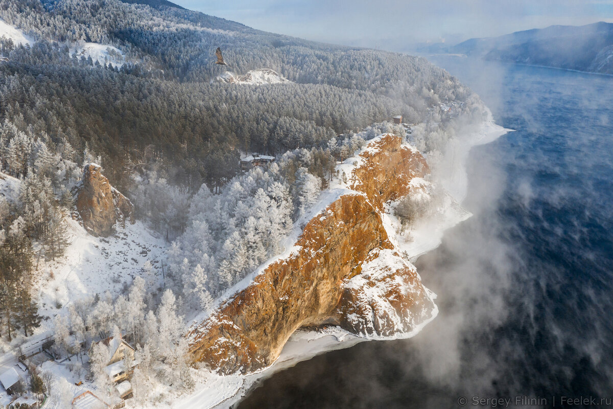 Шалунин бык красноярск фото