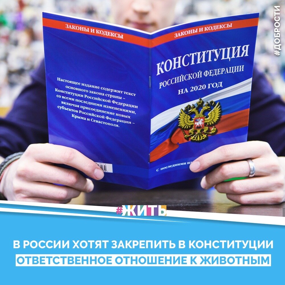 Конституция 2020 текст