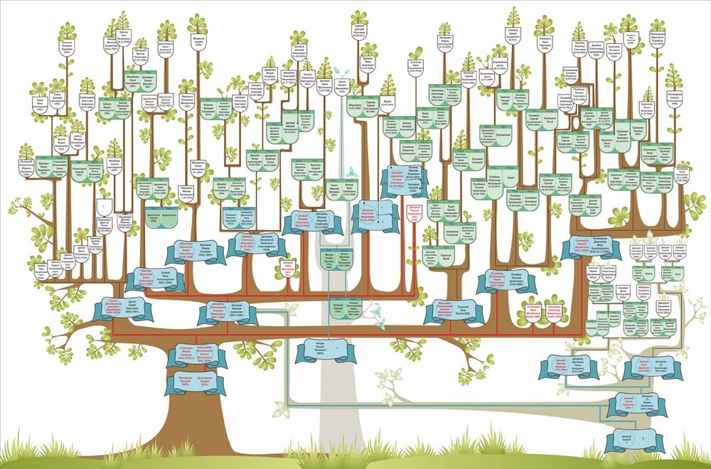 Самое большое генеалогическое Древо. Схема фамильного дерева. Родословное дерево для большой семьи. Семейное дерево чертеж. Код генеалогического древа