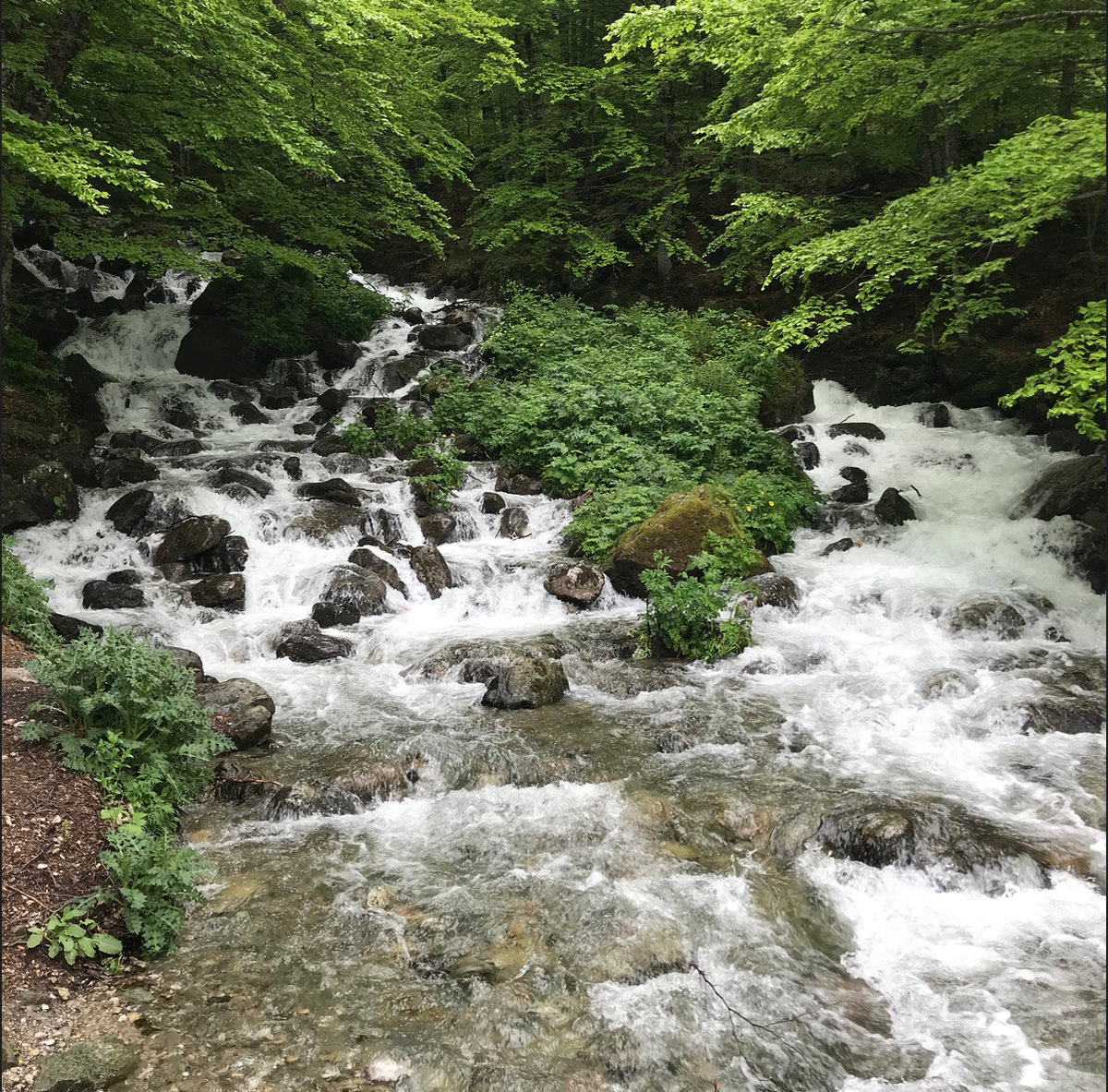 Ради вот таких горных рек и стоит ехать в Косово