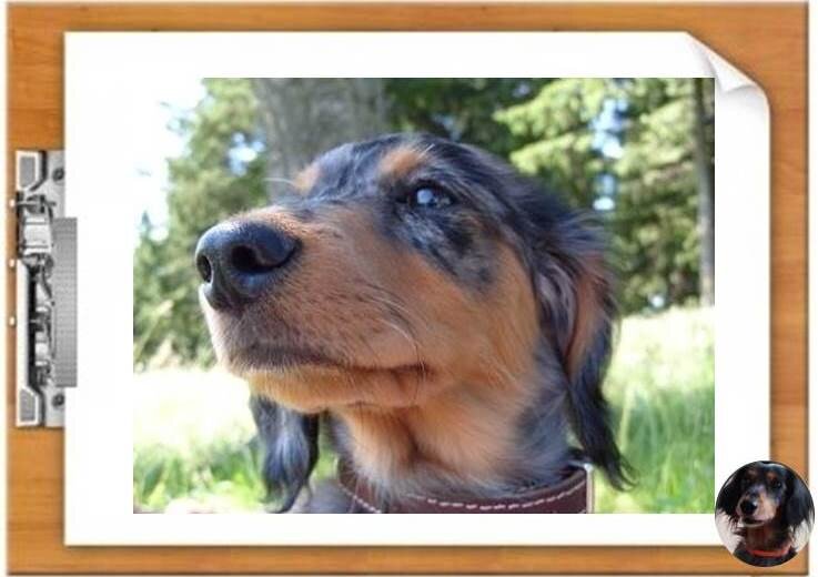 Будем благодарны, если поставите лайк и подпишетесь на канал!  Таким образом вы поможете развитию нашего канала