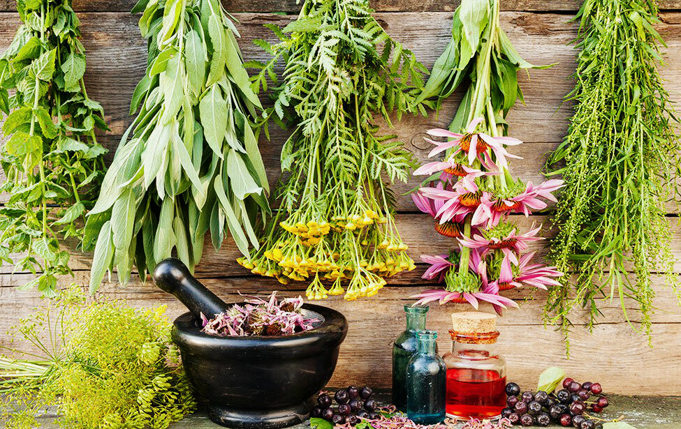 Сбор лекарственных растений производится при сухой погоде, а также после схода росы, поскольку лишь в этом случае, при сушке можно сохранить естественный цветовой окрас растений, и уберечь их от  плесени.