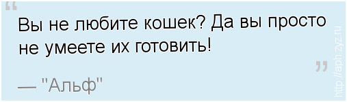 Вы не любите кошек вы просто не умеете их готовить картинка