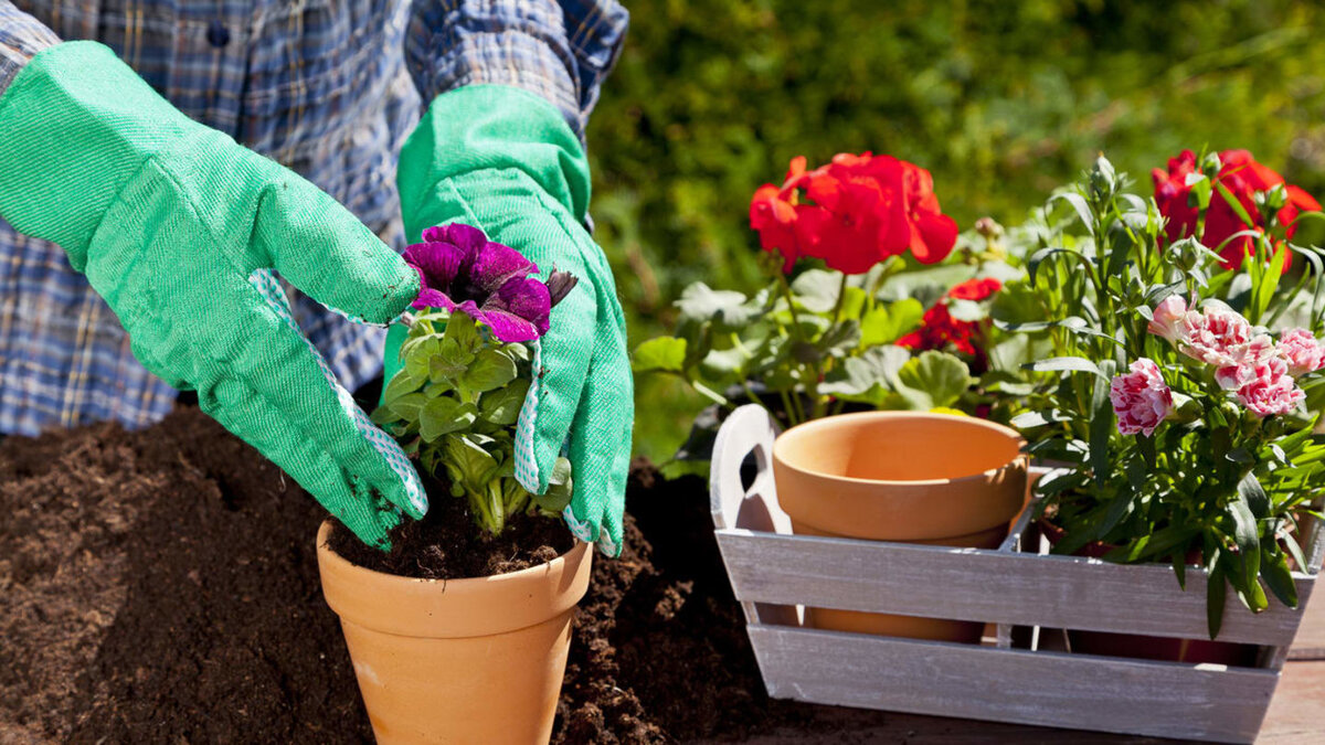 Источник Яндекс. Картинки