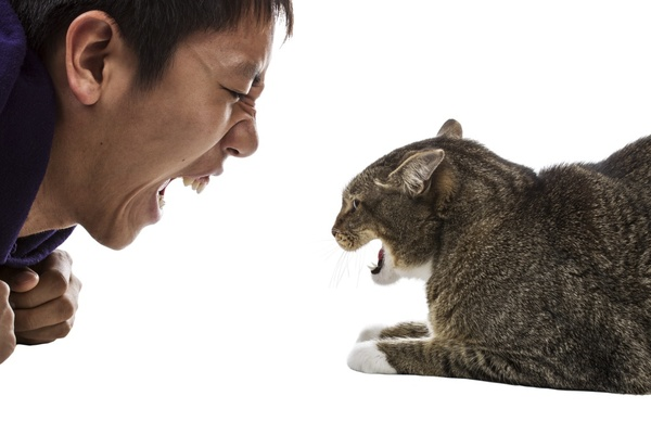 Фото из открытых источников интернета