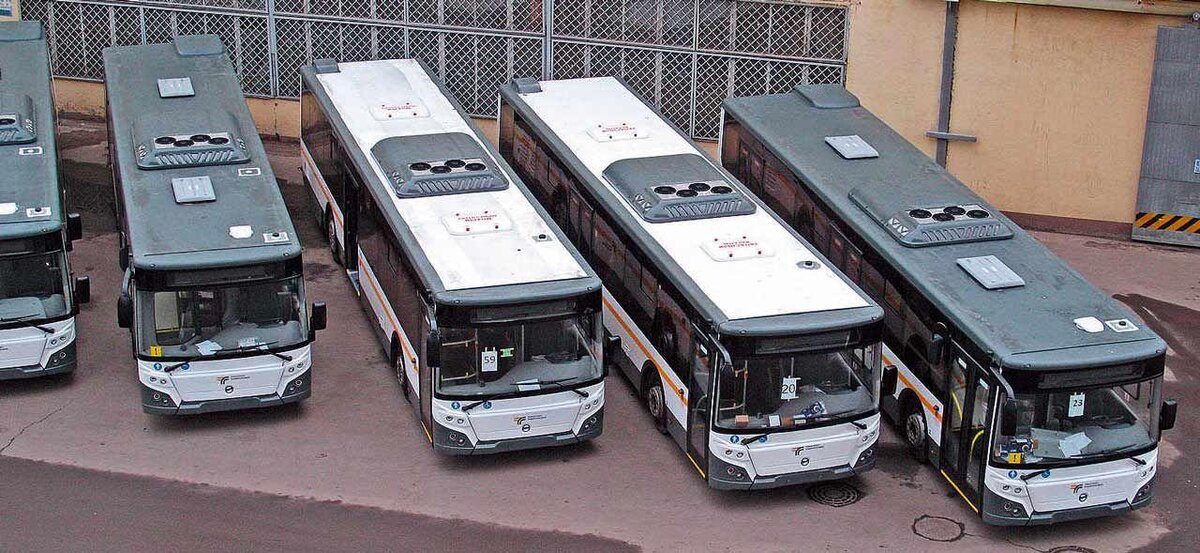 В автобусном парке 12 процентов всех автобусов