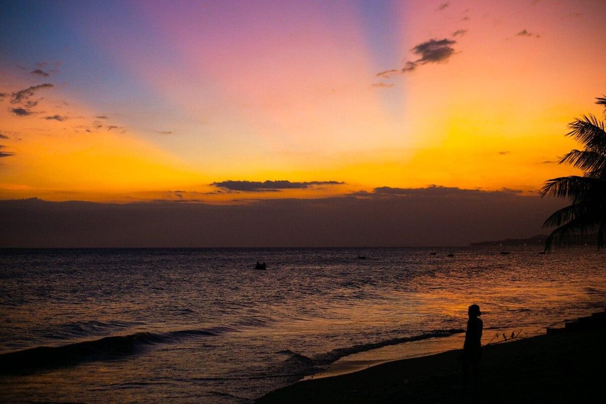 Фото от https://t.me/moiseenkodi